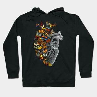 Butterfly Vintage Heart Spring by Tobe Fonseca Hoodie